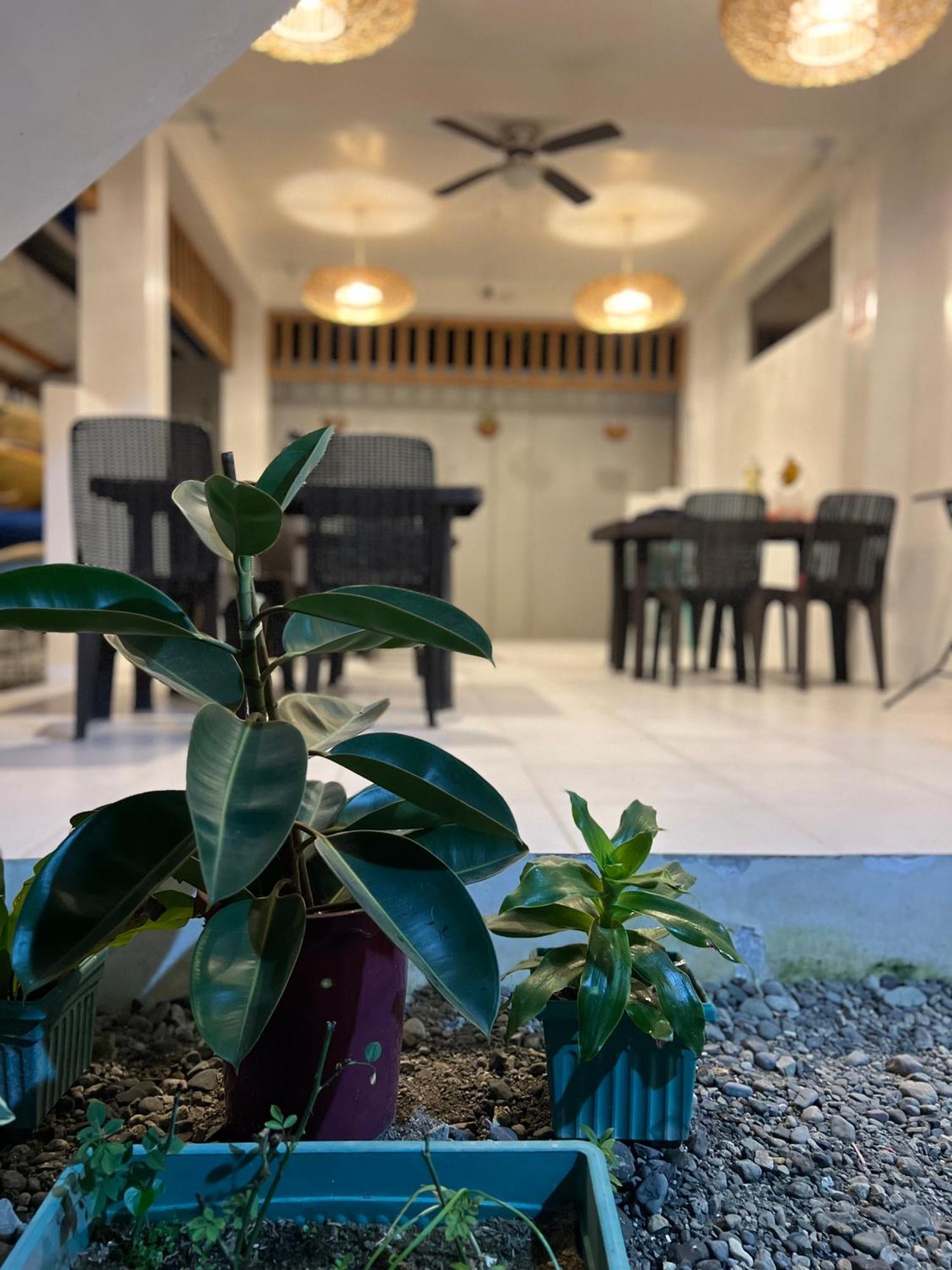巴莱尔 Sunny Terrace酒店 外观 照片